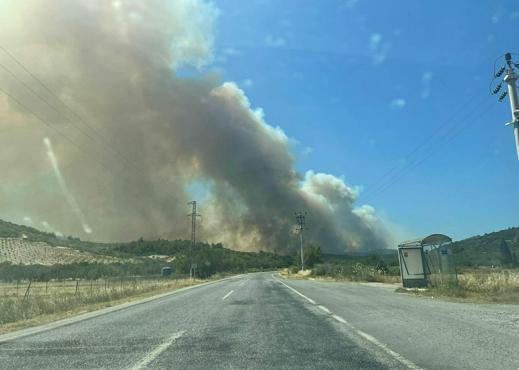 İzmirde çıkan orman yangını kontrol altında