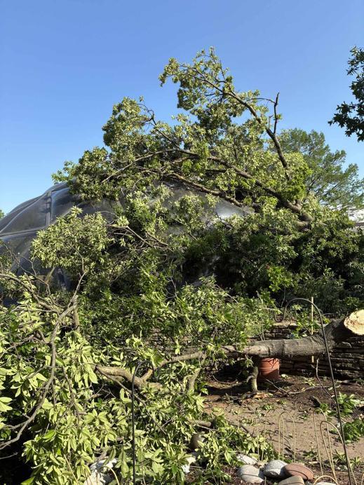 ABD’de fırtına: 5 kişi hayatını kaybetti