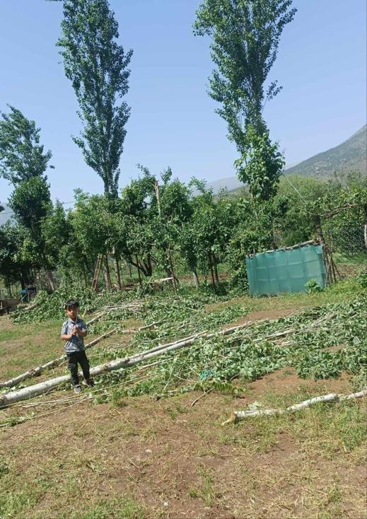 Hakkaride fırtına; çatılar uçtu, seralar zarar gördü