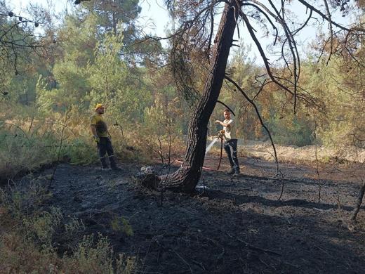 Bursada orman yangınları 3üncü gününde