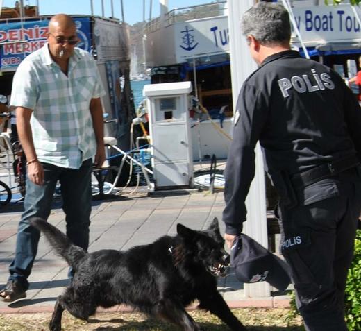 Kurt köpeğinin polislere saldırması kamerada