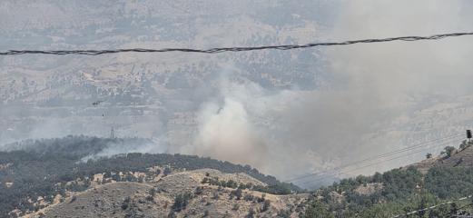 Adıyamanda orman yangını