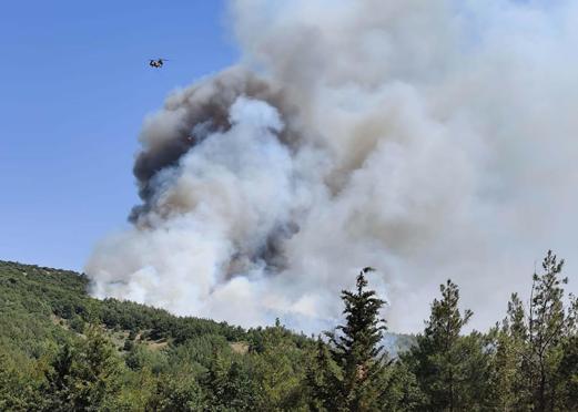 Balıkesirde orman ve tarım arazisinde yangın