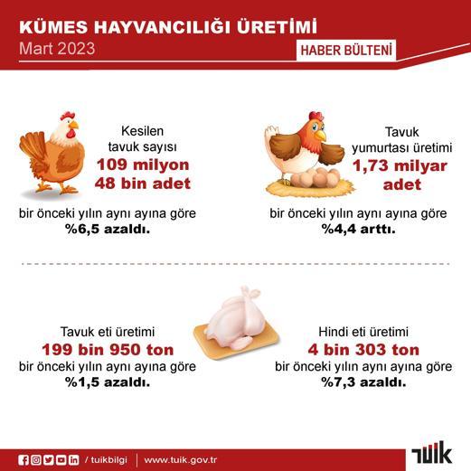 TÜİK: Martta yumurta ve içme sütü üretimi arttı, tavuk eti üretimi azaldı