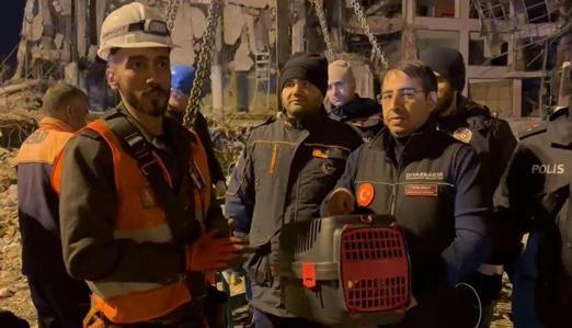 Cat rescue operation in Diyarbakır: 7 cats have been rescued