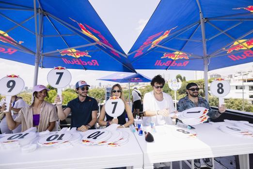 Red Bull Uçuş Günü’nde ünlü geçidi yaşandı