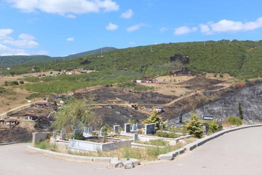 Kocaelide ot yangını