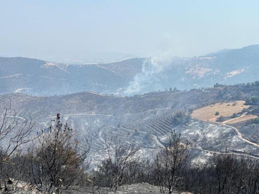 Manisadaki orman yangını, 116,5 saat sonra kontrol altında