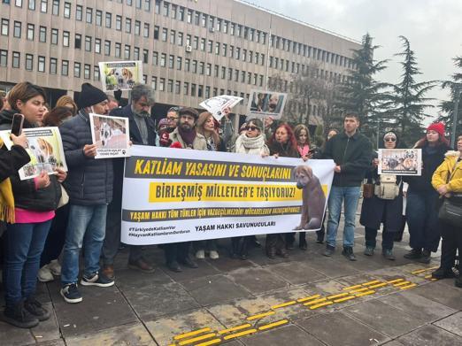 Barınakta çöp poşetlerindeki ölü köpekler için soruşturma