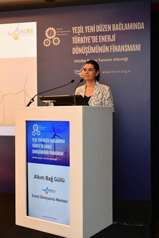 Rapor: Türkiye’nin net sıfır karbon hedefi için 135 milyar dolar yatırım gerekiyor