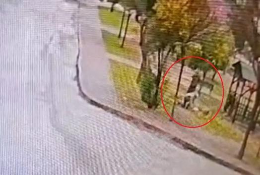 Sahipsiz 2 kurt köpeği, tasmayla gezdirilen evcil köpek ile sahibine saldırdı