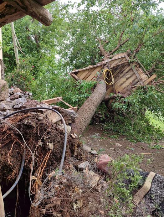 Hakkaride fırtına; çatılar uçtu, seralar zarar gördü