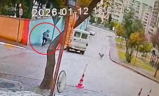 Sahipsiz 2 kurt köpeği, tasmayla gezdirilen evcil köpek ile sahibine saldırdı