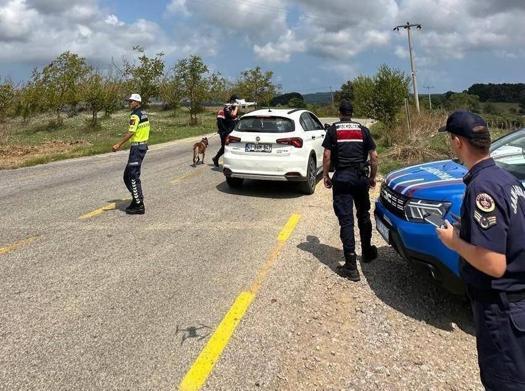 Fındık bahçelerinde havadan ve karadan hırsızlık denetimi