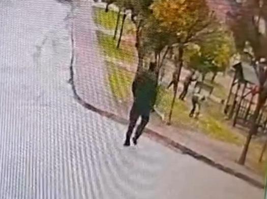 Sahipsiz 2 kurt köpeği, tasmayla gezdirilen evcil köpek ile sahibine saldırdı