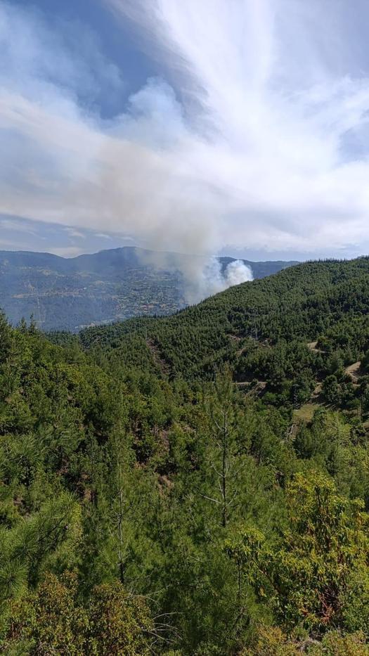 Kahramanmaraş’ta çıkan orman yangını kontrol altında