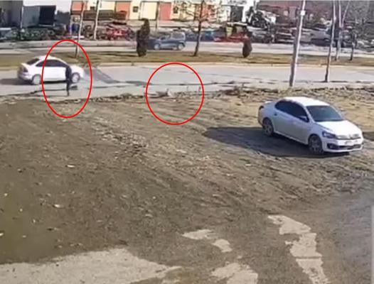 Horoz, sayaç okumaya gelen görevliyi kovaladı; o anlar kamerada