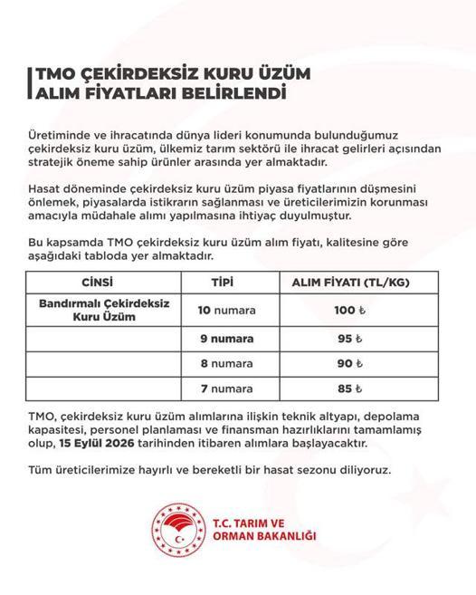 TMOnun çekirdeksiz kuru üzüm alım fiyatı belirlendi