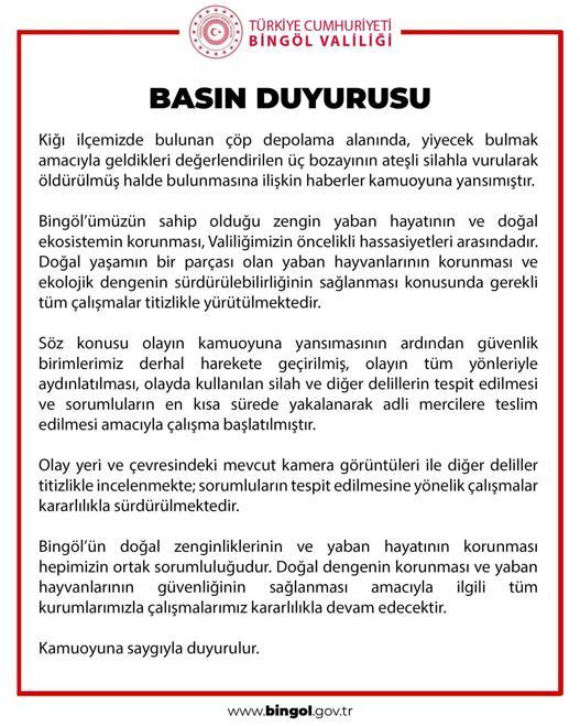 Bingöl’de 3 bozayının öldürülmesine ilişkin çalışma başlatıldı