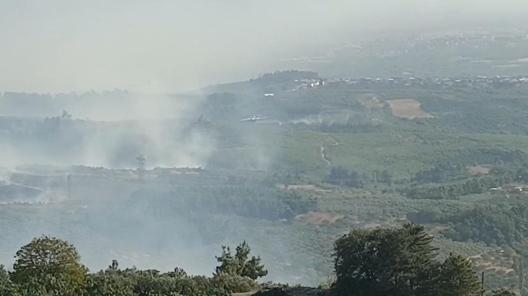 Bursa’da çıkan orman yangını kontrol altında