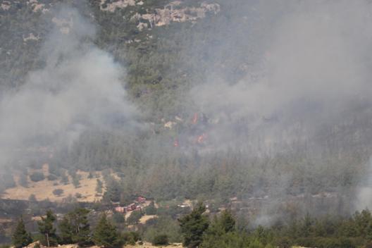 Denizlide orman yangını