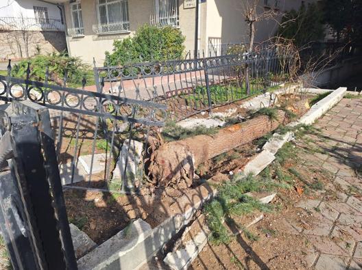 Kamyonla 3 araca çarpıp kaçtı; o anlar kamerada