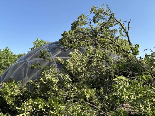 ABD’de fırtına: 5 kişi hayatını kaybetti