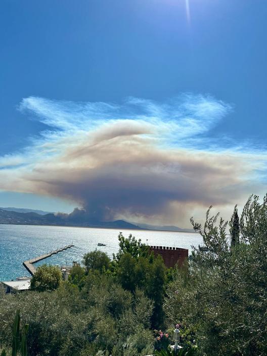 Alanyadaki orman yangınında 2nci gün