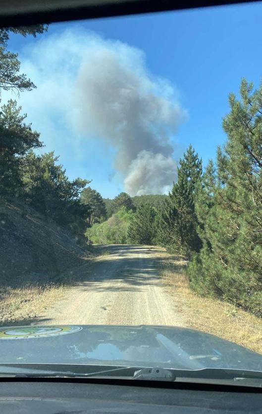 Eskişehir’de orman yangını
