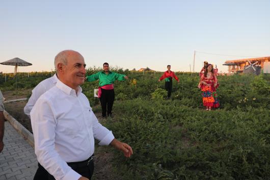 Büyükçekmecede Roman vatandaşların sebze ve meyve ürettiği kent bostanı açıldı