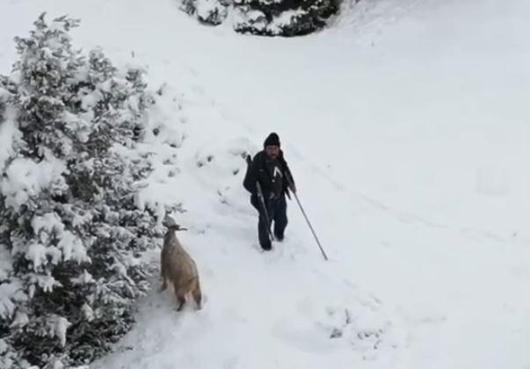 Dronuna tüfek doğrultulan fotoğrafçı: Ateş etse vurabilirdi