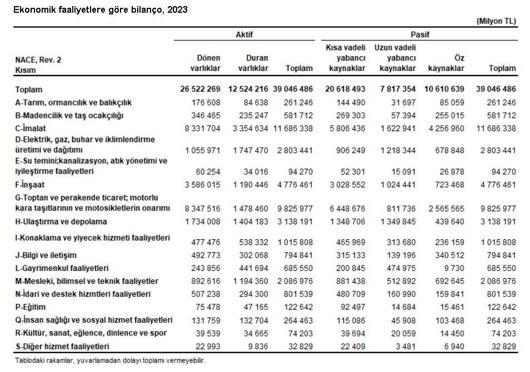 TÜİK: 2023te firmaların aktif büyüklüğü 39,4 trilyon lira oldu