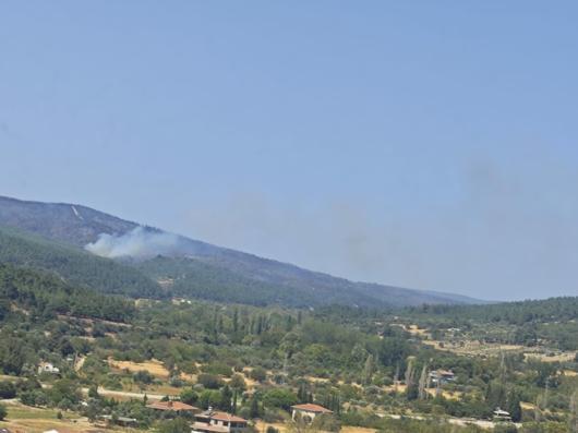 Çanakkalede orman yangını kontrol altında