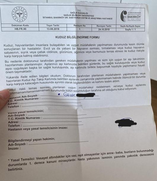 Üniversite kampüsünde köpeklerin saldırısına uğradı: O anlar kamerada