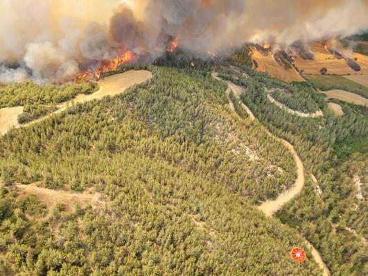 Adanada çıkan orman yangını kontrol altında