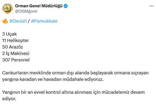 Denizlide orman yangını