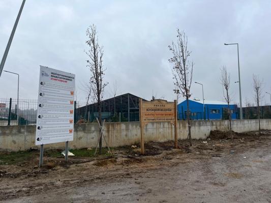 Barınakta çöp poşetlerindeki ölü köpekler için soruşturma