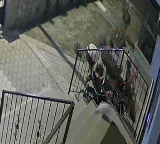 Restoratör Tuğbanın 5inci kattan düşüp ölmesiyle ilgili davanın tanığı: İntihar eğilimi gözlemlemedik