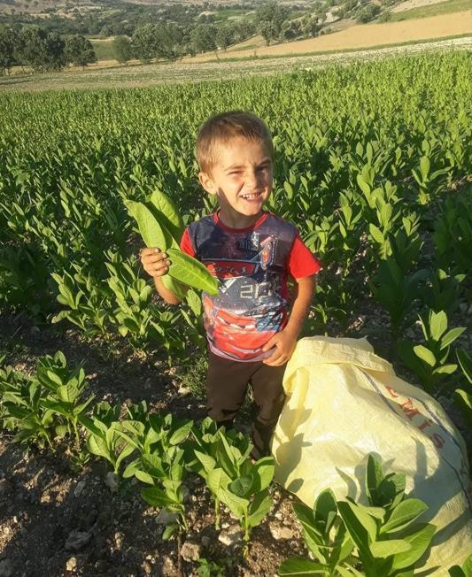 Süt taşıyan kamyonetin çarptığı Miraç hayatını kaybetti