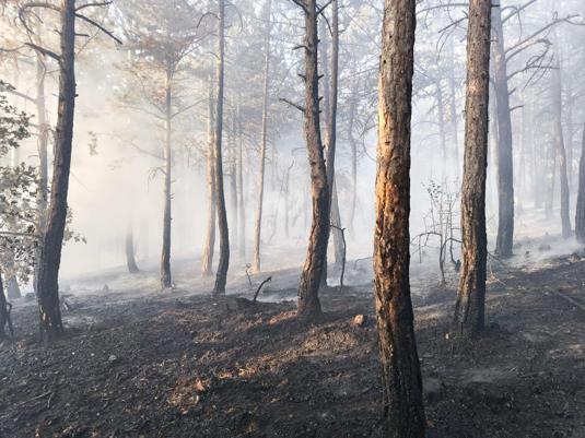 Boluda 8,5 saatte kontrol altına alınan orman yangınında soğutma çalışmaları sürüyor