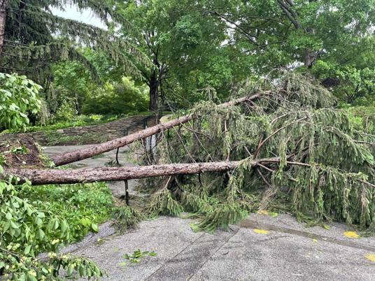 ABD’de fırtına: 5 kişi hayatını kaybetti
