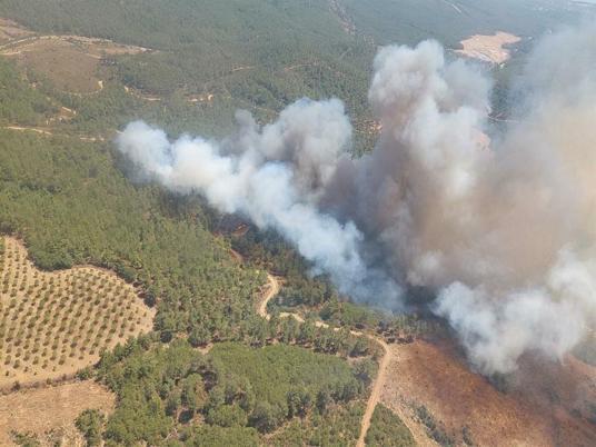 Çanakkale’de orman yangını kontrol altında