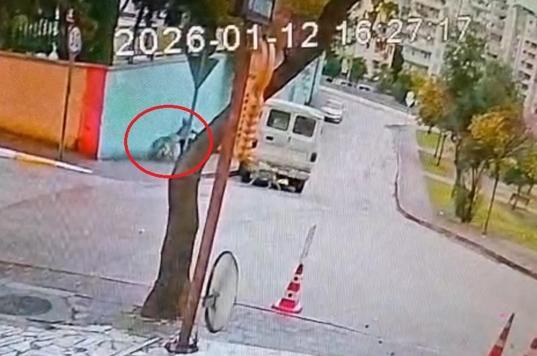 Sahipsiz 2 kurt köpeği, tasmayla gezdirilen evcil köpek ile sahibine saldırdı