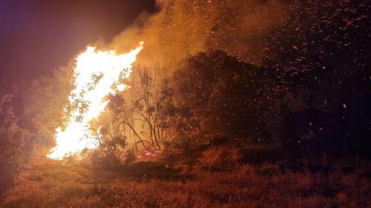 Aydının Bozdoğanda maki yangını