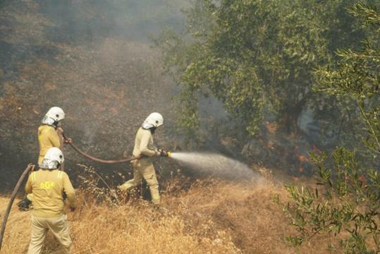 Balıkesir Edremitteki yangın 2nci gününde