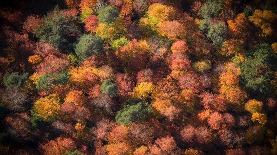 Bolu Mengen'de sonbahar güzelliği