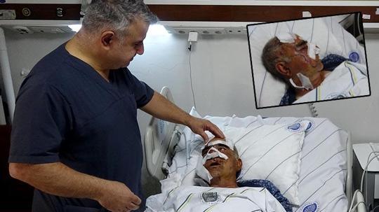 Hayvan otlatırken ayı saldırdı, yüzünden yaralandı