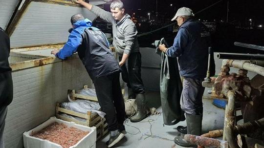 Çanakkale’de yasa dışı avlanan 525 kilo balığa el konuldu