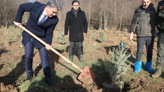 Bolu'daki yangın faciasında ölen 78 kişi için hatıra ormanı