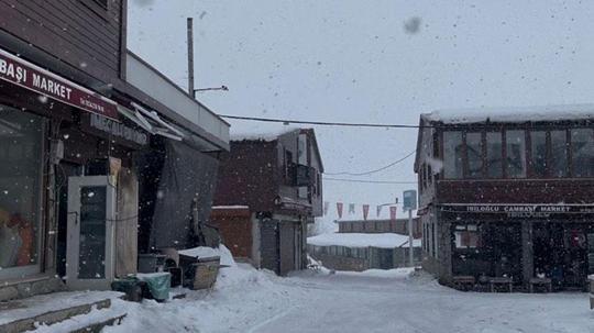 Ordu'nun yüksek kesimlerinde kar yağışı
